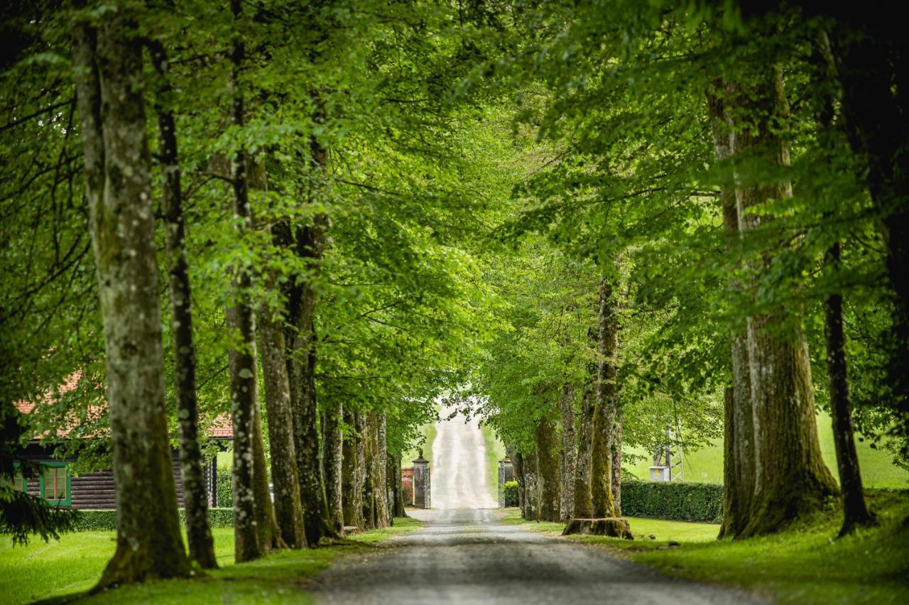 Villa Grad Strmol Cerklje na Gorenjskem Exterior foto