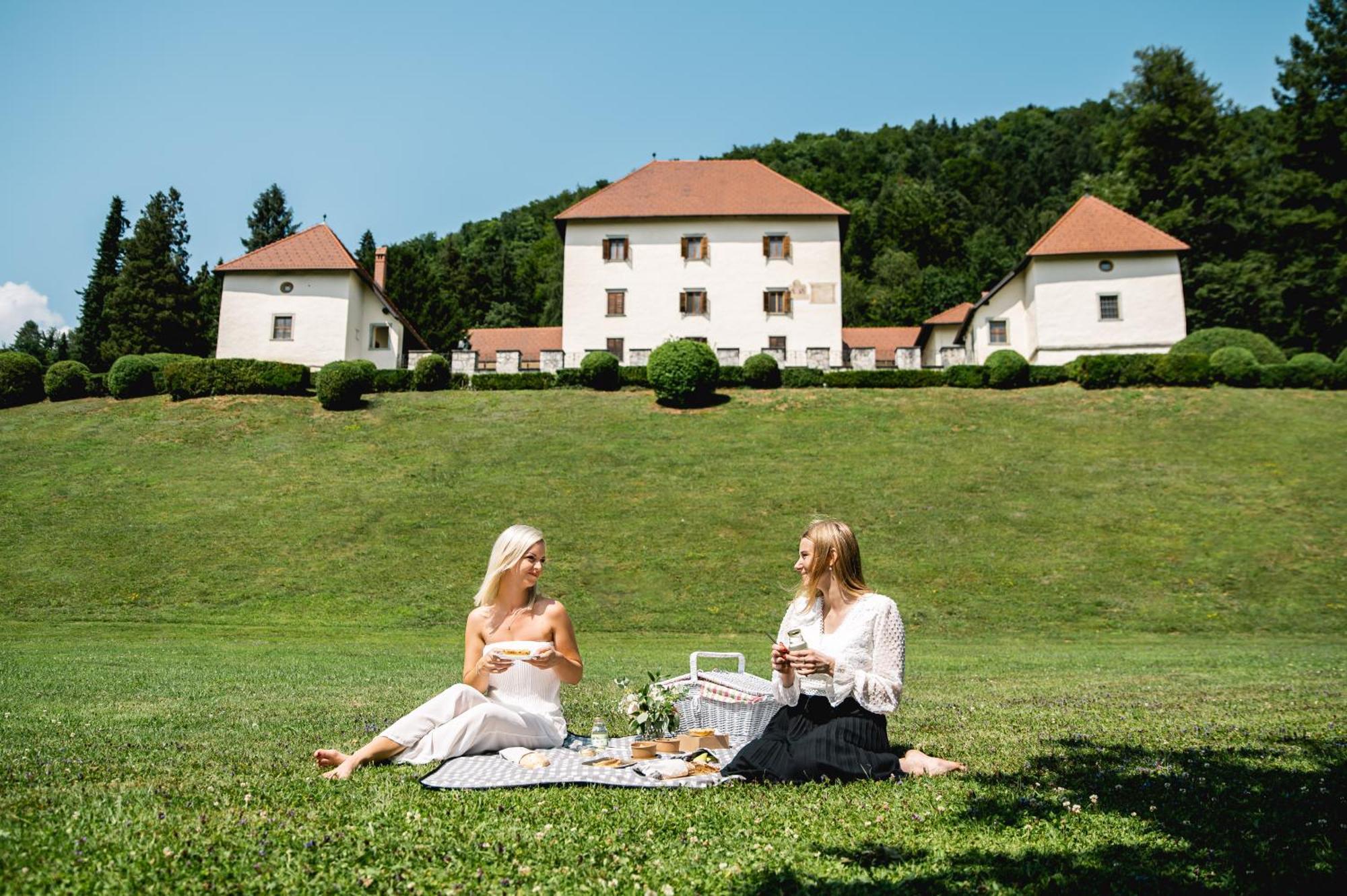 Villa Grad Strmol Cerklje na Gorenjskem Exterior foto